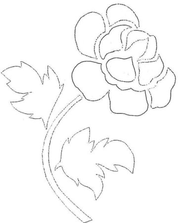 Шаблоны цветов на окна