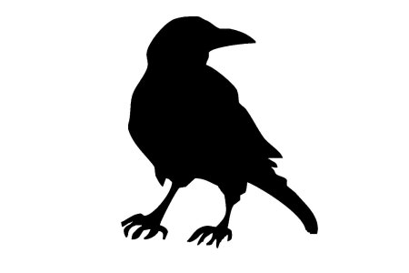 Тень ворона