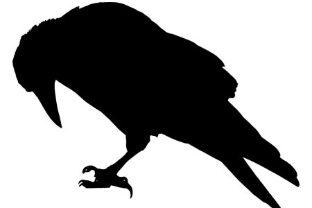 Силуэт Грача