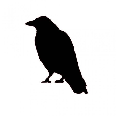 Белая ворона силуэт