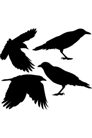 Силуэт ворона