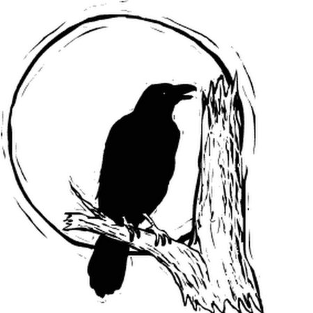Силуэт ворона на ветке