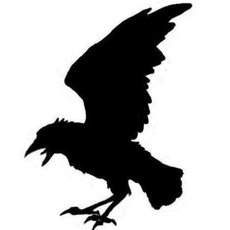 Ворон силуэт