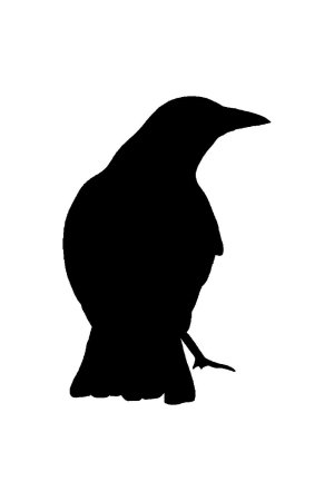 Трафарет ворона для вырезания