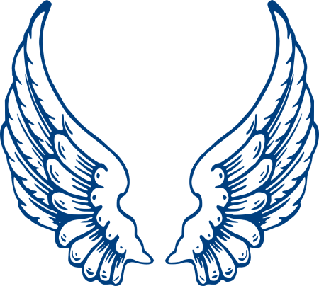 Орнамент Крылья