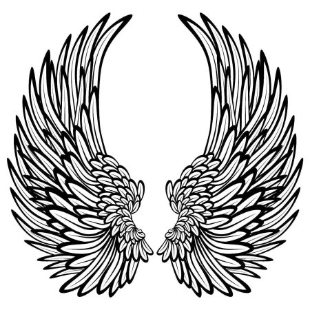 Крылья ангела