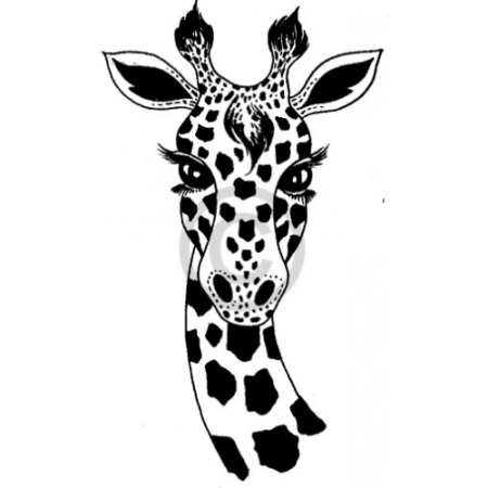 Жираф рисунок
