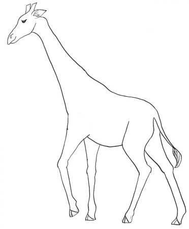 Жираф орнамент