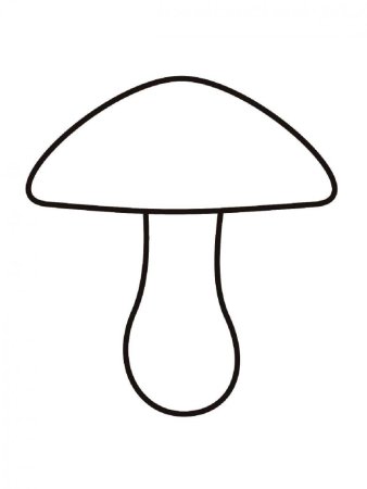 Раскраска гриб моховик