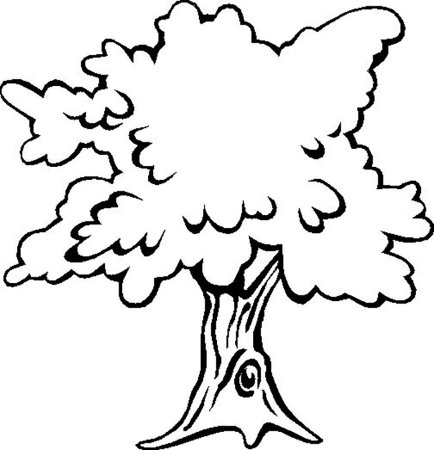 Дерево дуб раскраска