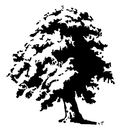 Силуэт дуба
