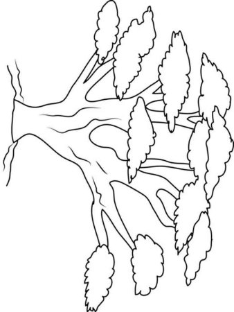 Трафарет "дерево"