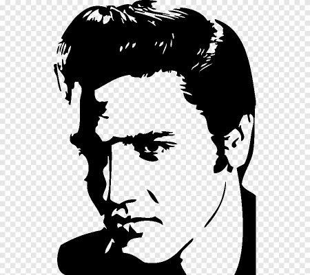 Джоли вектор