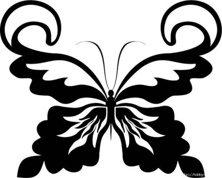 Трафареты больших бабочек