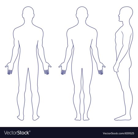 Очертание человека в полный рост