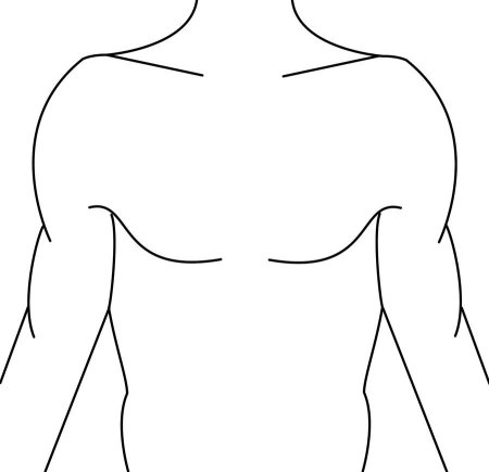Туловище схематично
