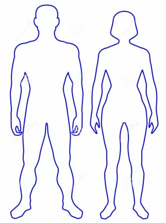 Контур человеческого тела