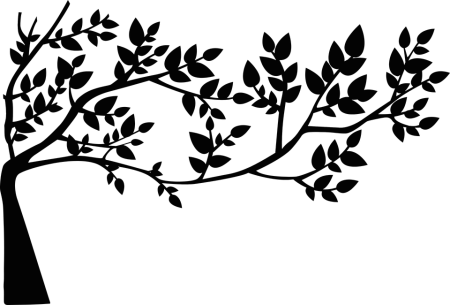 Ветка дерева