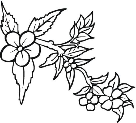 Ветка с цветами трафарет