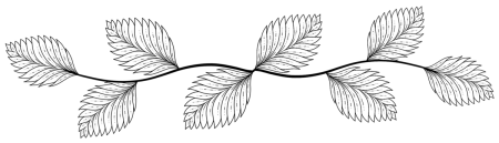 Ветвь с листьями контур