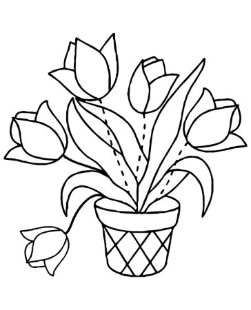 Ваза с цветами раскраска