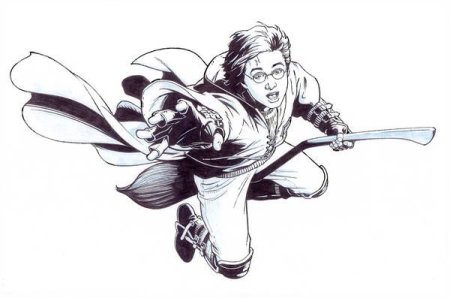 Гарри Поттер на метле ловит снитч