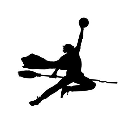 Гарри Поттер квиддич силуэт