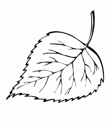 Листья раскраска для детей