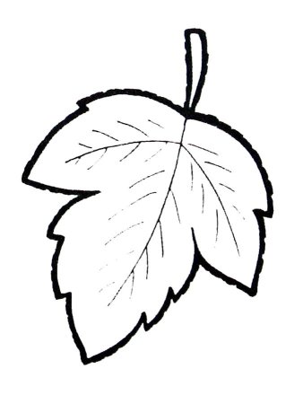 Листья раскраска