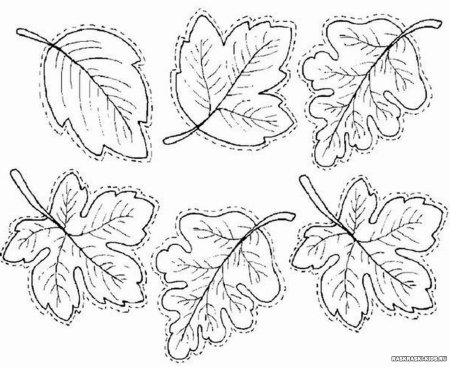 Трафареты осенних листьев