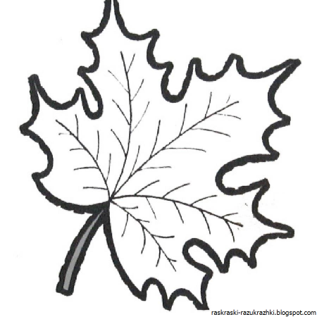 Кленовый лист раскраска
