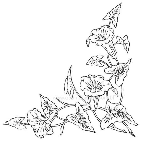 Вьющиеся цветы эскиз