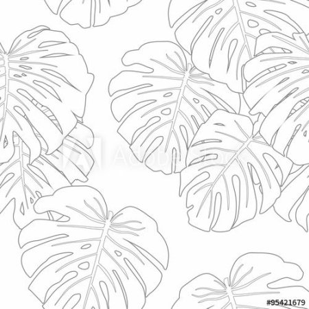 Силуэт тропических листьев