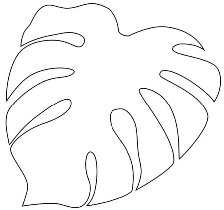Monstera Leaf контур