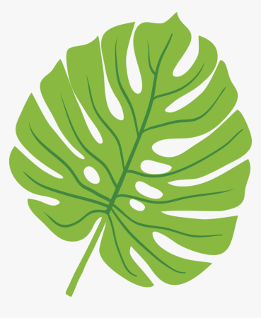 Лист монстеры контур