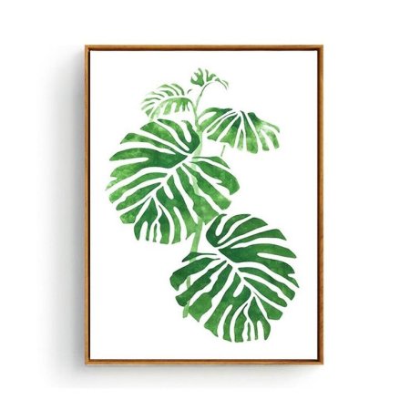 Тропические листья