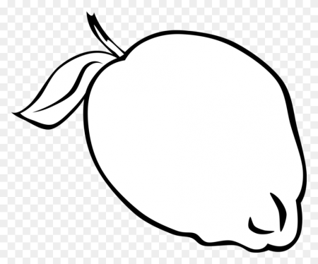 Виноград раскраска