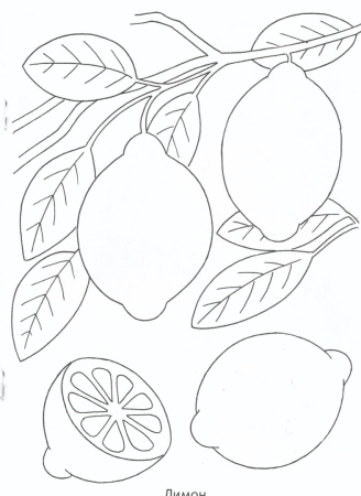 Силуэты овощей и фруктов для раскрашивания