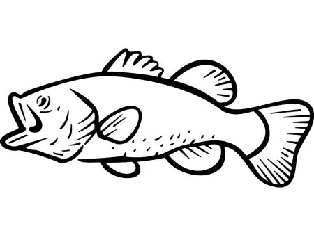 Рыба для выжигания