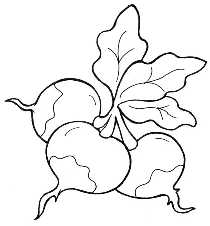 Овощи трафареты для детей