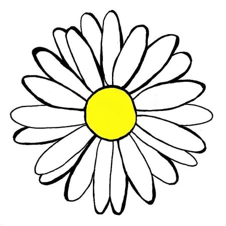 Ромашки для печати шаблон