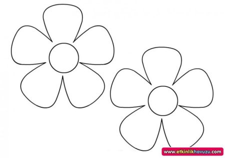 Нарисовать ромашку