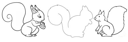 Аппликация белка