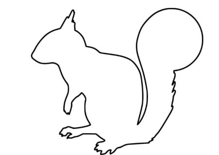 Белка трафарет