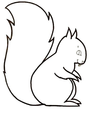 Белка трафарет