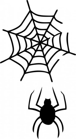 Наклейки на авто паук