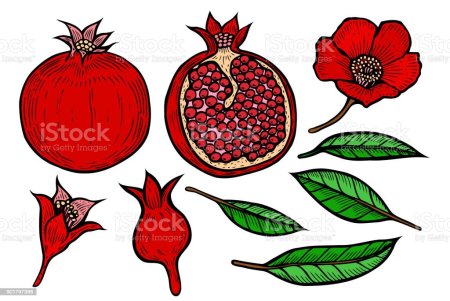 Цветок граната стилизация