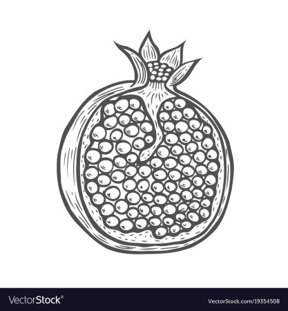Трафарет граната фрукт