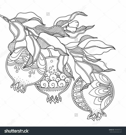 Эскиз витражей фрукты