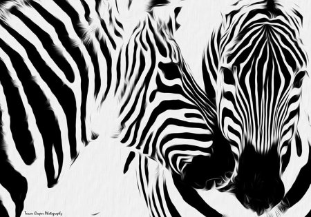 Картина Зебра черно белая